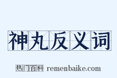 神丸反义词是什么意思的图片